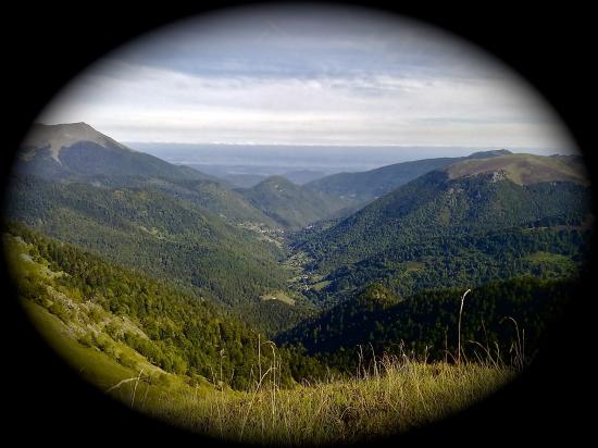 070920112314.jpg